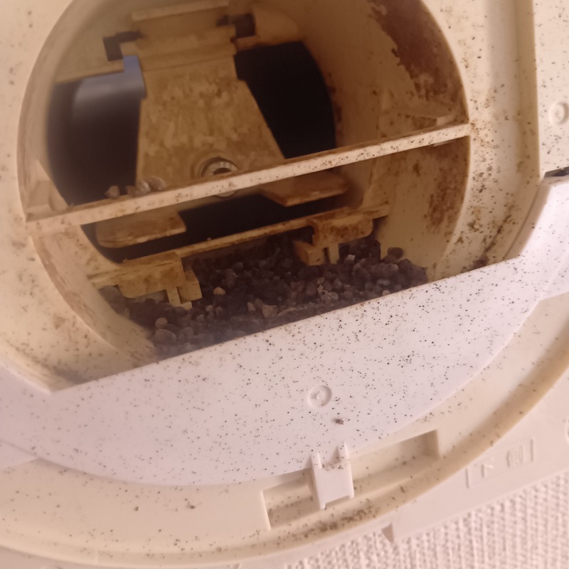 換気扇内のフン害