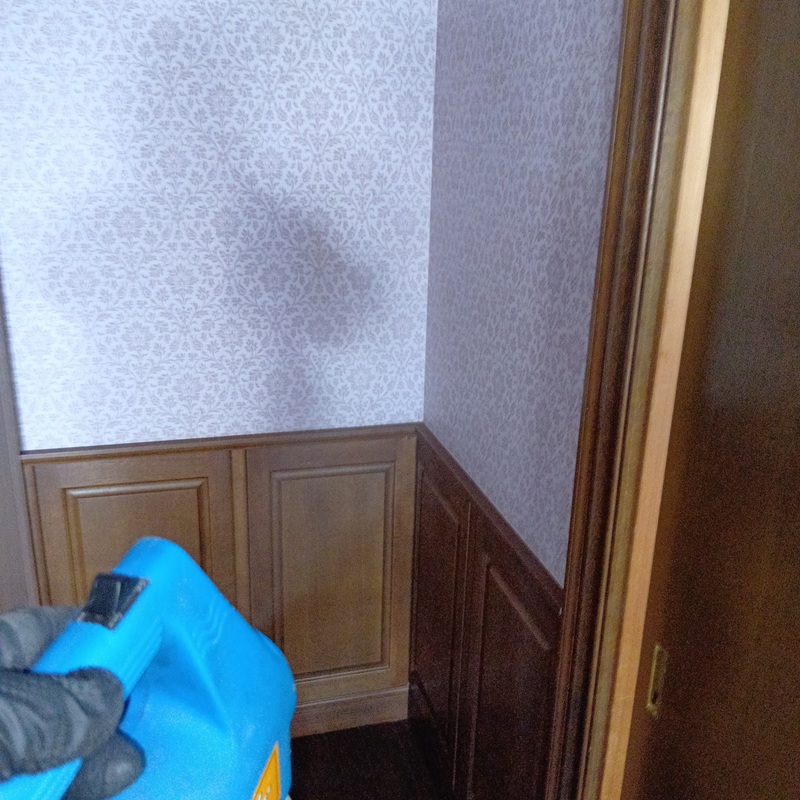 室内に除菌・殺虫剤を散布