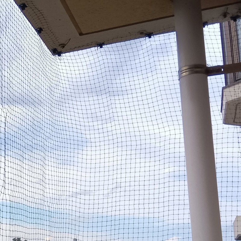 ベランダに防鳥ネットを設置した様子