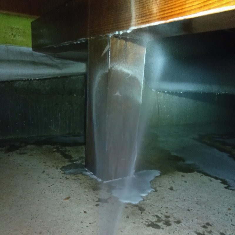 床下の木材にシロアリ駆除剤を散布