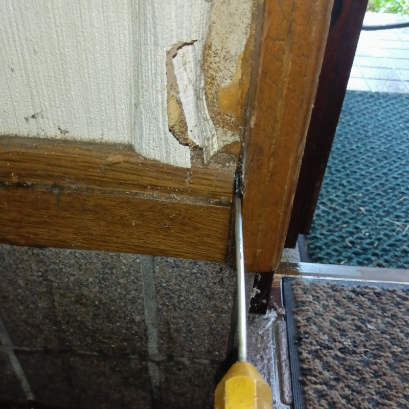 勝手口付近の木部にシロアリ駆除剤を注入