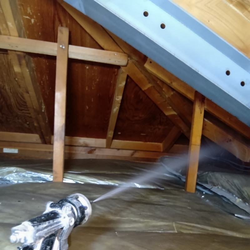 屋根裏の木材にシロアリ駆除剤を散布