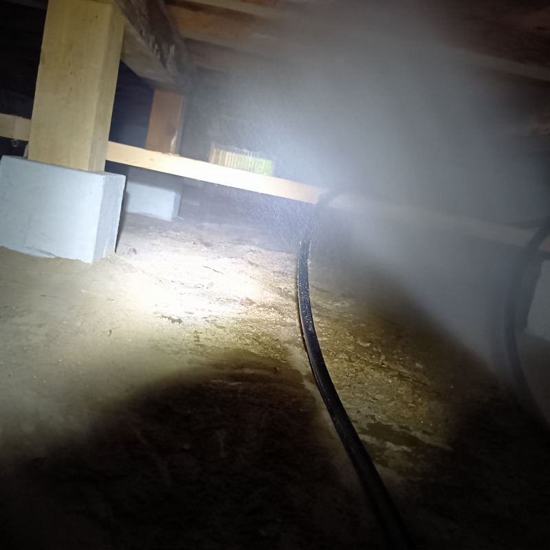 シロアリ駆除の施工事例（千葉県市原市今津朝山）