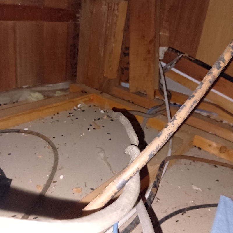 ネズミ駆除の施工事例（神奈川県横浜市青葉区恩田町）