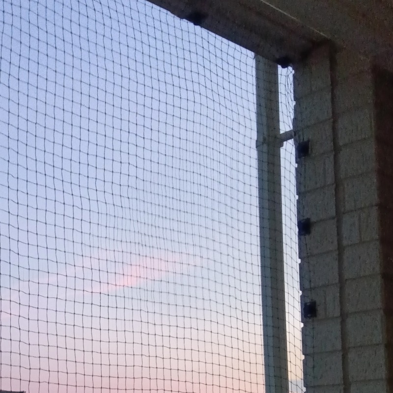 鳩対策の施工事例（滋賀県近江八幡市0）