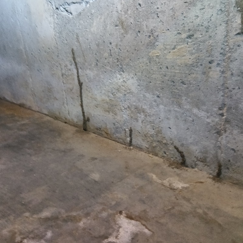 シロアリ駆除の施工事例（新潟県上越市五智）