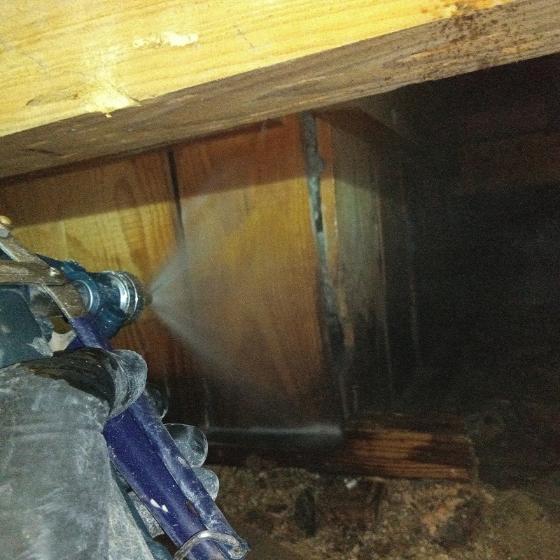 床下の木材に防蟻剤を散布