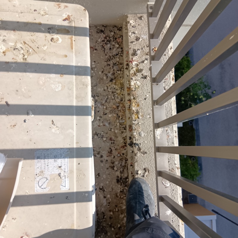 鳩対策の施工事例（愛知県額田郡幸田町相見）