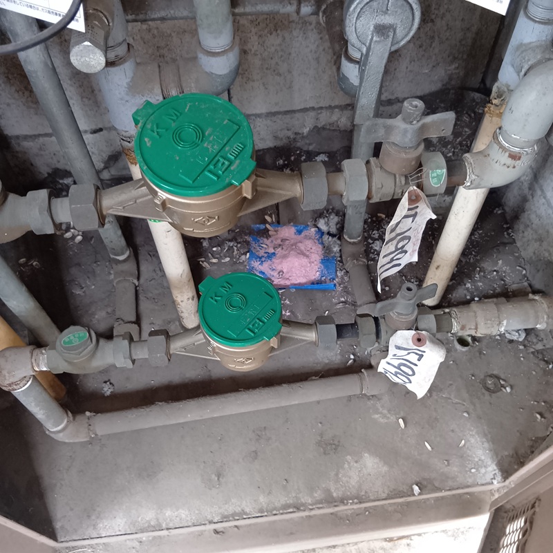 メーターボックス内に設置した殺鼠剤