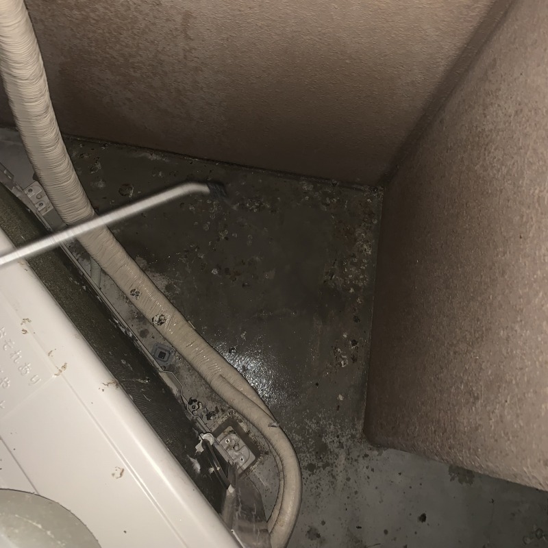 室外機裏の洗浄・除菌の様子