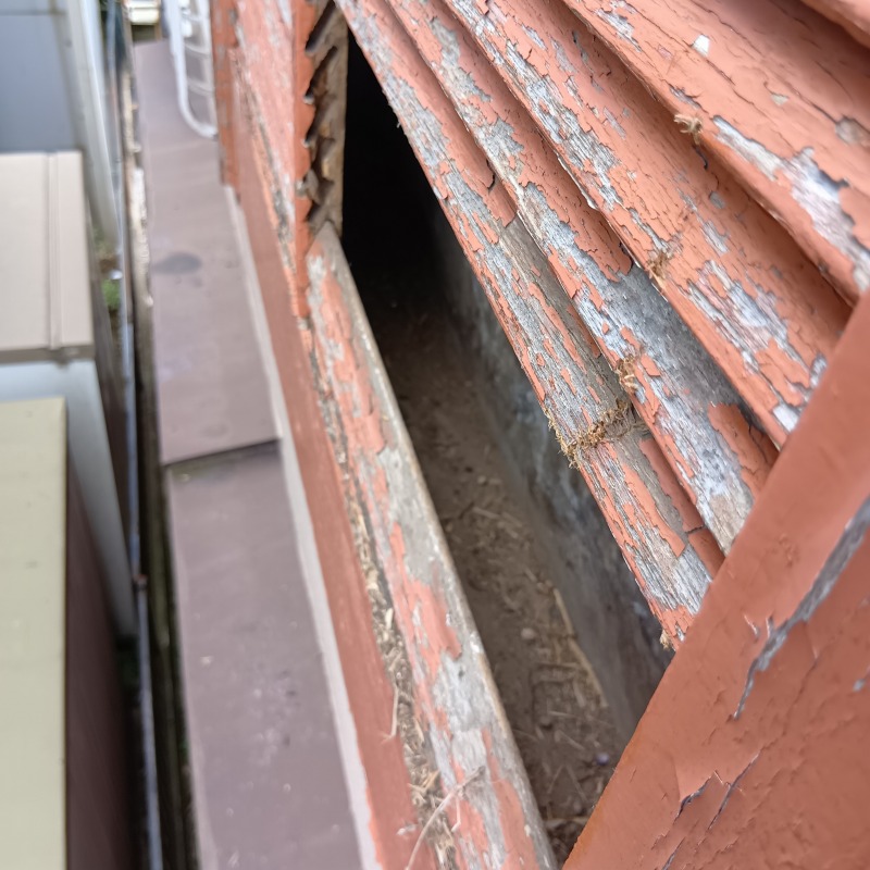 鳩対策の施工事例（埼玉県草加市新里町）