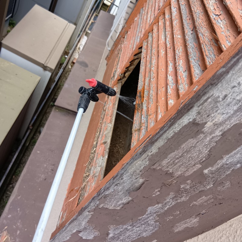 鳩がいた戸袋内を清掃・除菌する様子