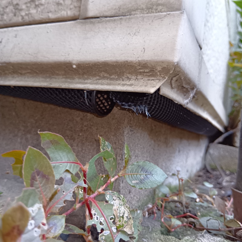 基礎部分のすき間を防鼠ネットで封鎖