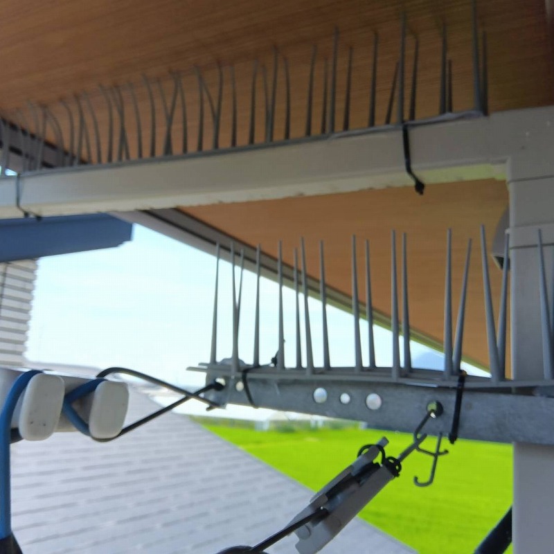 建物の梁に剣山を設置した様子