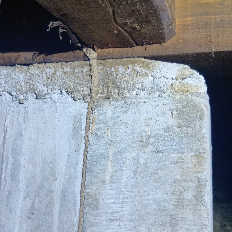 築年数50年のシロアリ駆除の施工事例（愛媛県松山市古川西）