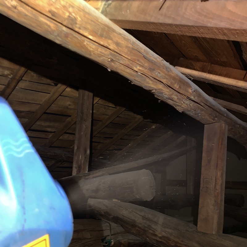 殺虫・消毒剤散布の様子