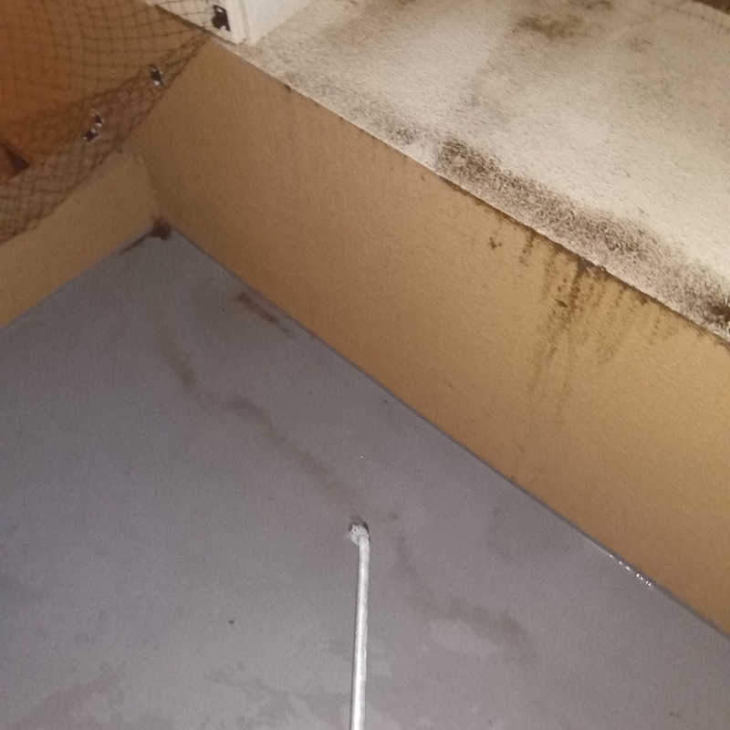 噴霧器で薬剤を散布する様子