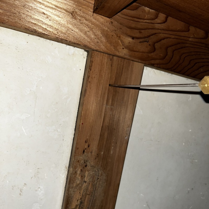 柱に穴を開けてシロアリ駆除剤を注入