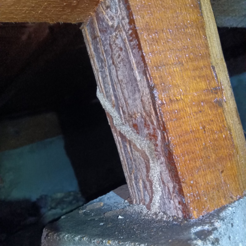 築年数50年のシロアリ駆除の施工事例（東京都目黒区目黒）