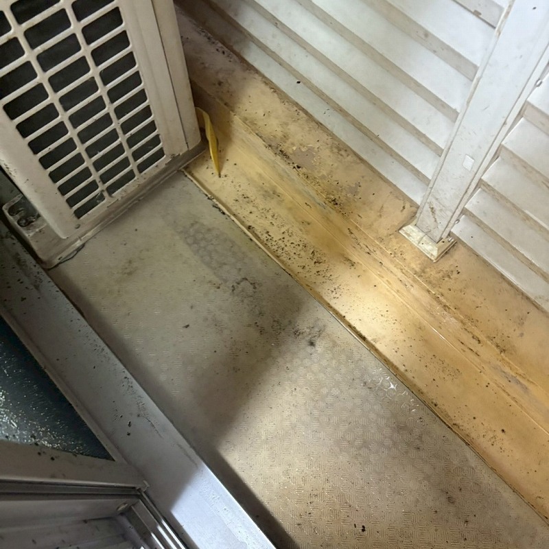 フンを清掃しきれいになったベランダ