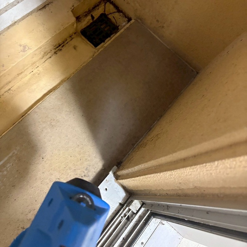 噴霧器で薬剤を散布する様子