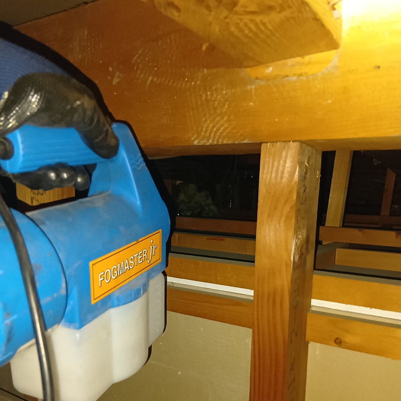 屋根裏に殺虫剤を散布