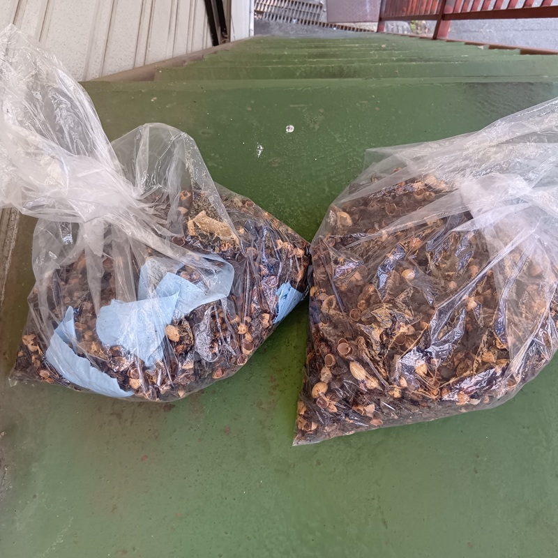 回収されたフンや食べカスのゴミ