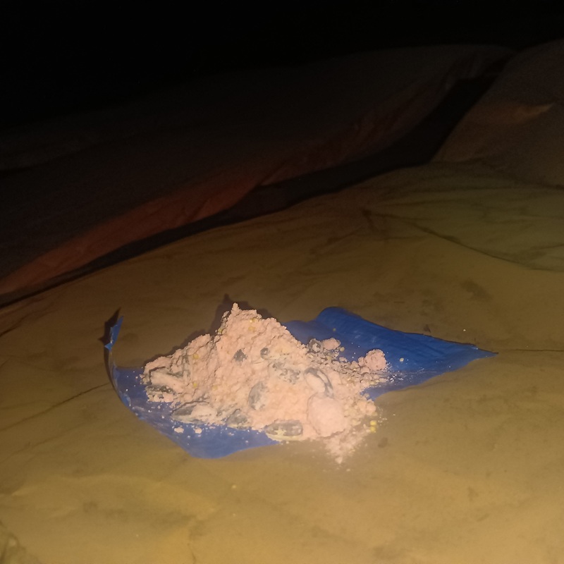 屋根裏に殺鼠剤を設置した様子