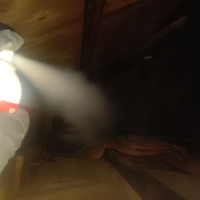 屋根裏に忌避剤を散布する様子