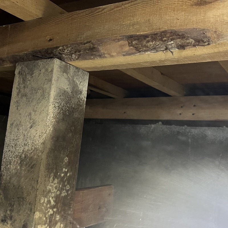 築年数50年のシロアリ駆除の施工事例（福島県郡山市0）