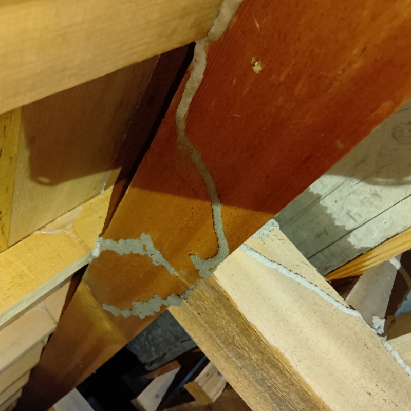 築年数50年のシロアリ駆除の施工事例（徳島県吉野川市鴨島町牛島）