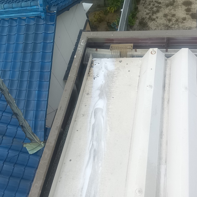 屋根の上の鳩のフン害