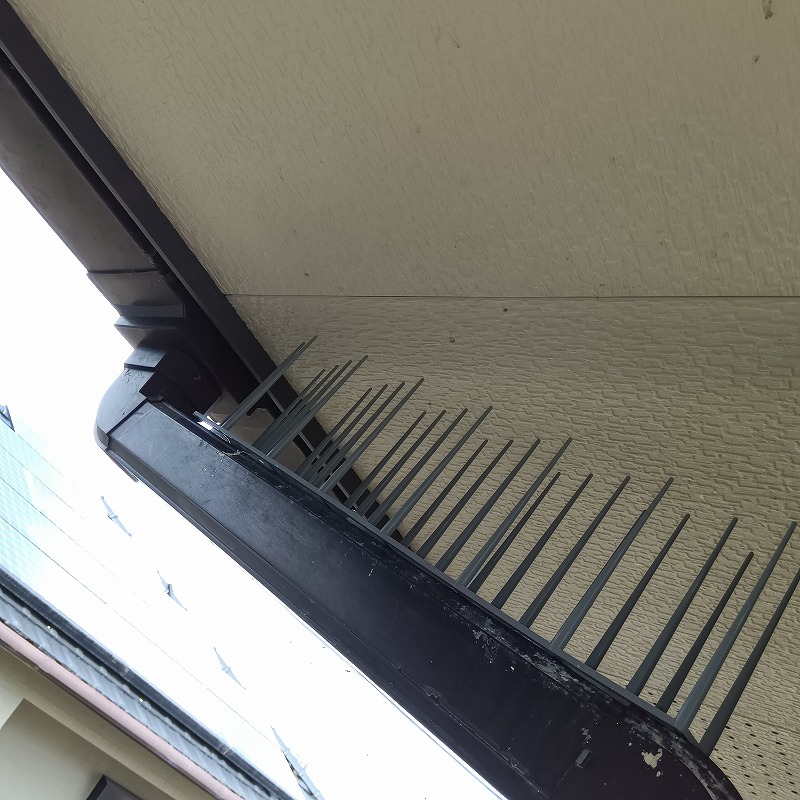 鳩対策の施工事例（滋賀県愛知郡愛荘町市）