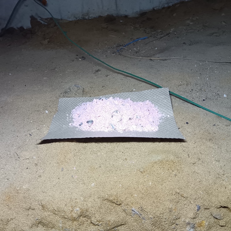 殺鼠剤設置の様子