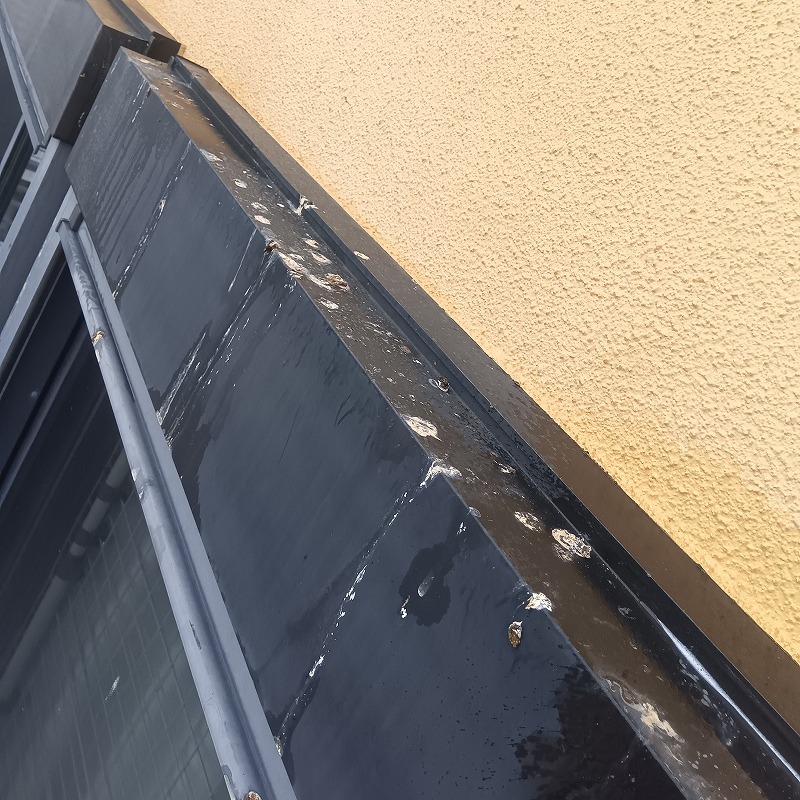 窓枠の上部に付着した鳩のフン