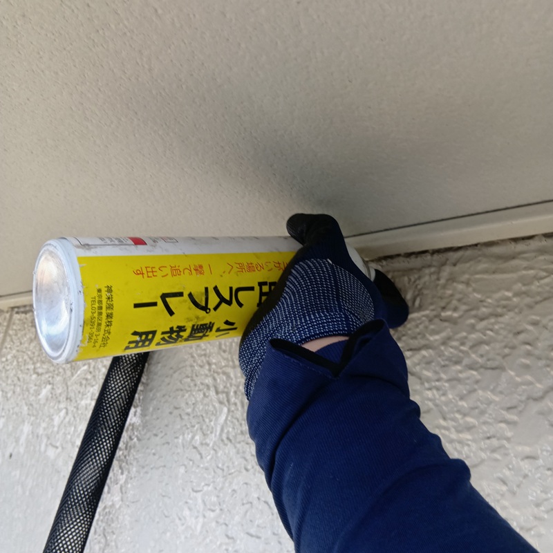 コウモリの侵入口に忌避剤を散布