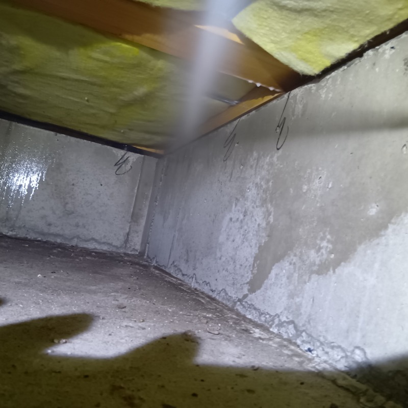 床下の地面や基礎部分に防蟻剤を散布