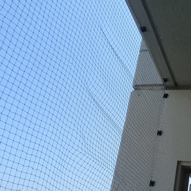 鳩対策の施工事例（兵庫県神戸市中央区0）