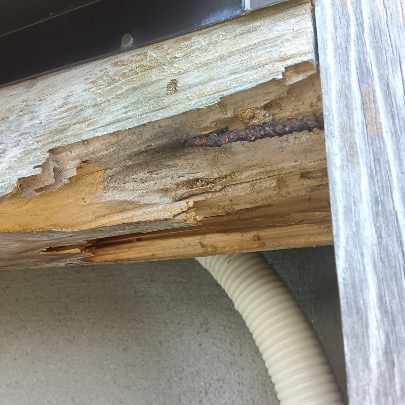 築年数30年のシロアリ駆除の施工事例（福岡県築上郡築上町築城）