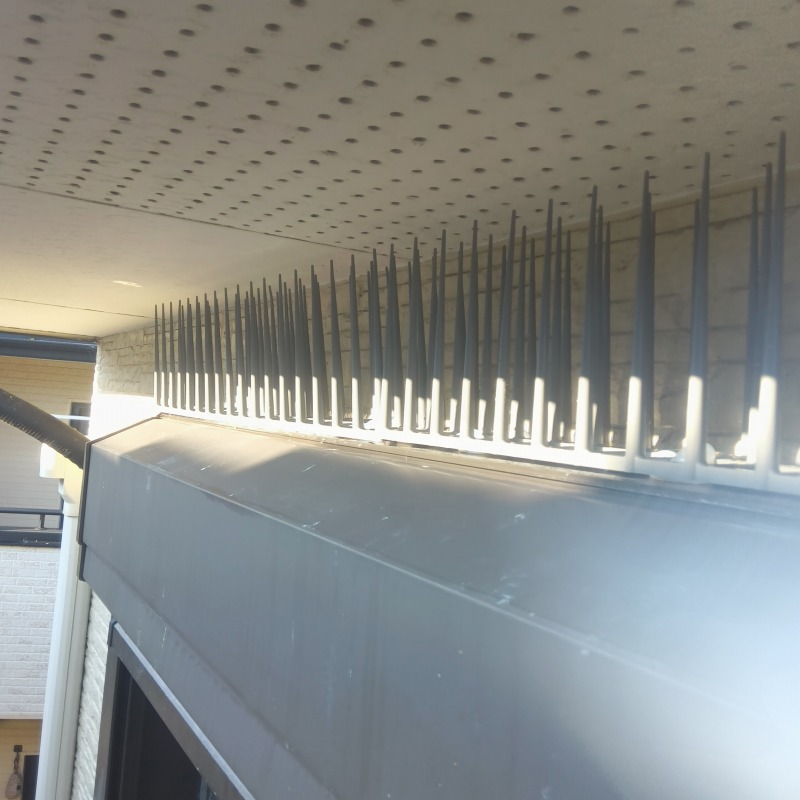 シャッター屋根に設置した剣山