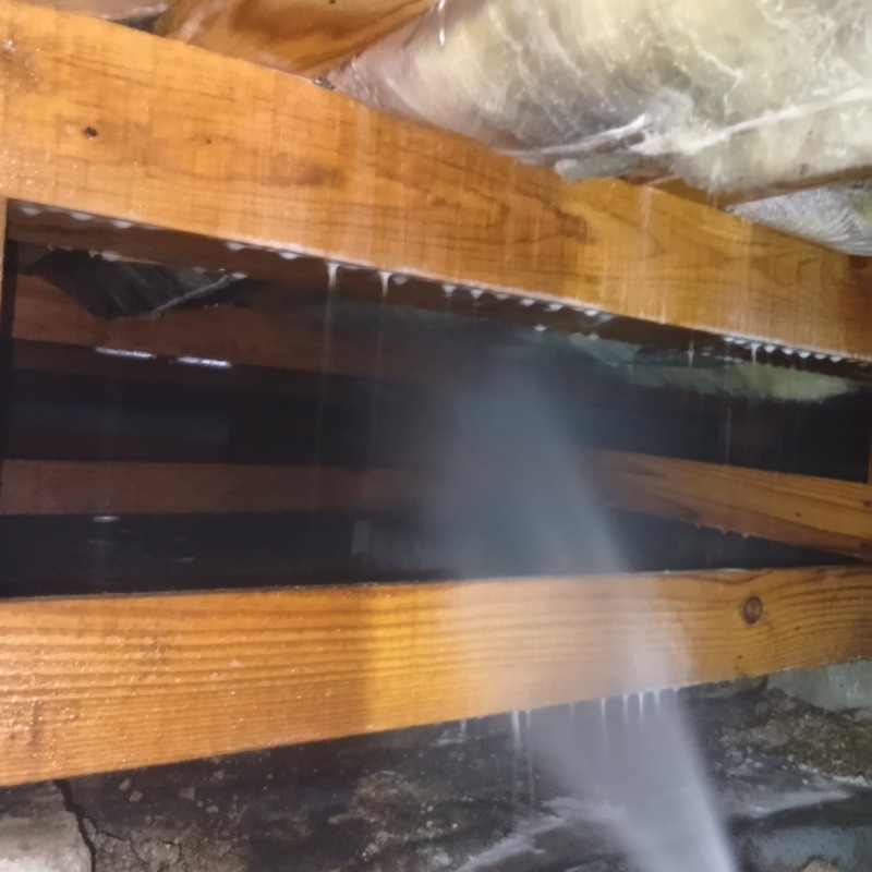 床下の木材にシロアリ駆除剤を散布