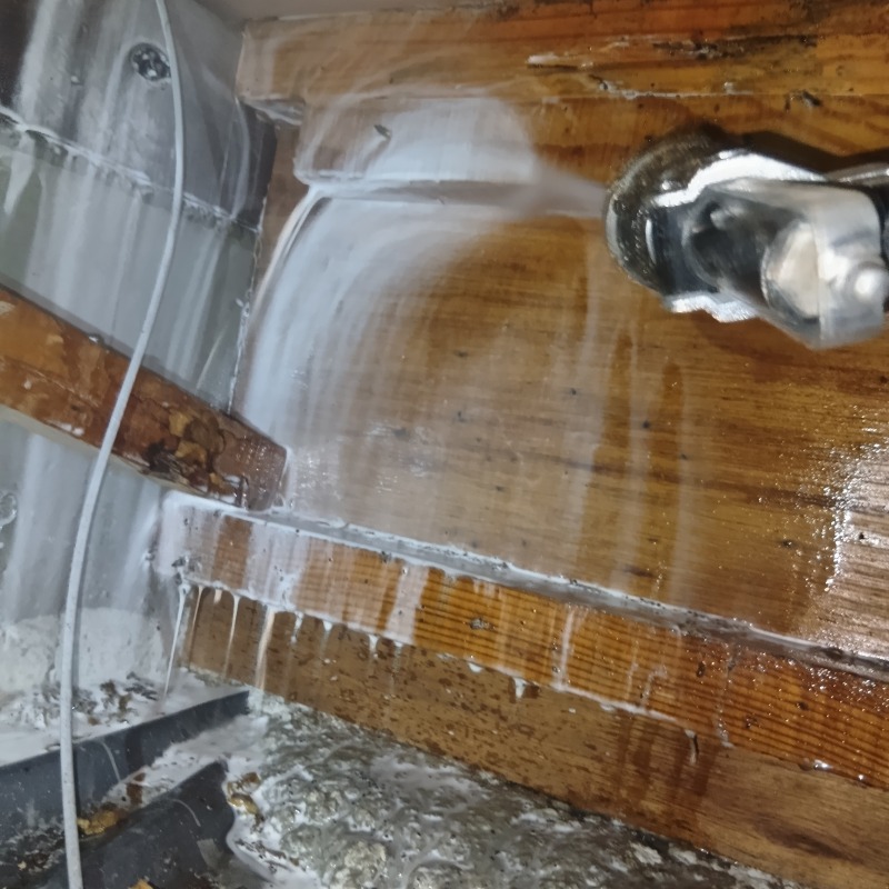 蟻道があった木材にシロアリ駆除剤を吹き付け