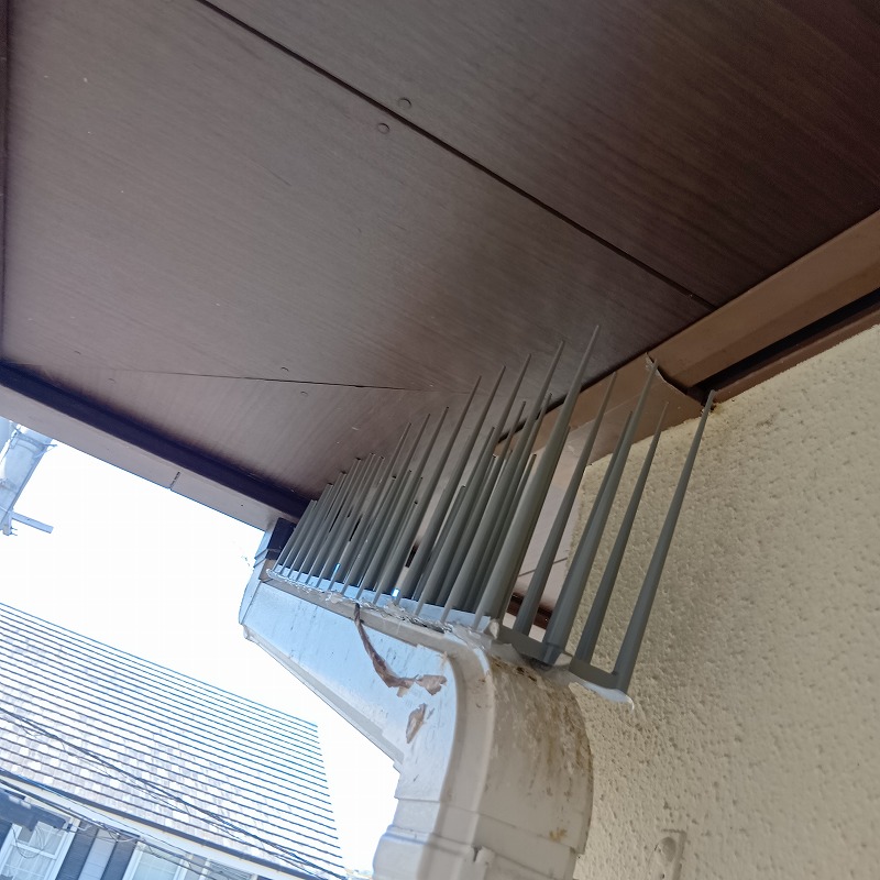 鳩対策の施工事例（徳島県板野郡藍住町乙瀬字東新田）