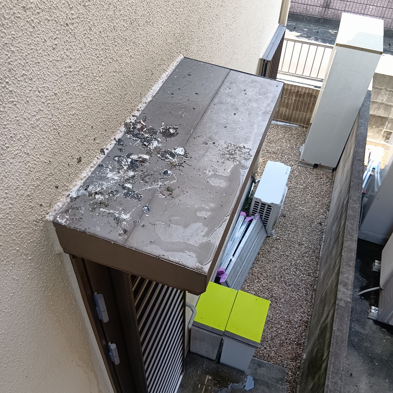 窓のひさしの上のフン害