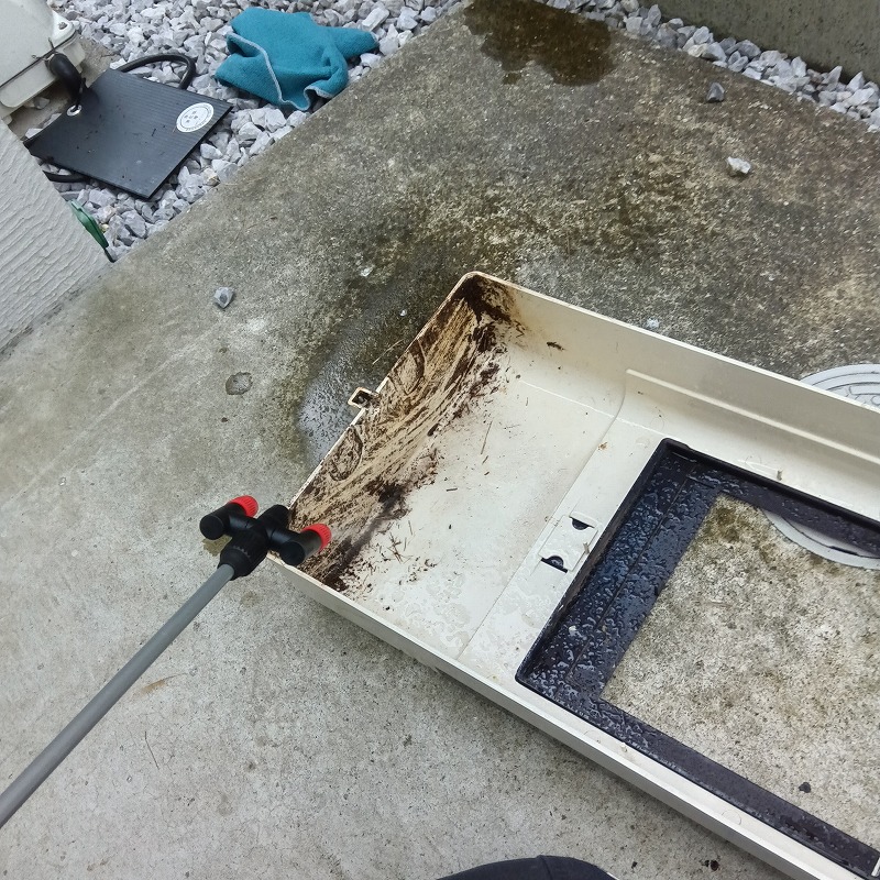 電気メーターのカバーを取り外し内部のフン汚れを清掃・除菌