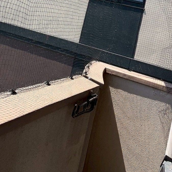 鳩対策の施工事例（山口県下関市0）