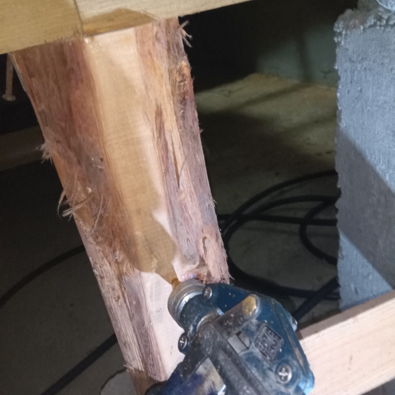 被害を受けた木材にシロアリ駆除剤を注入