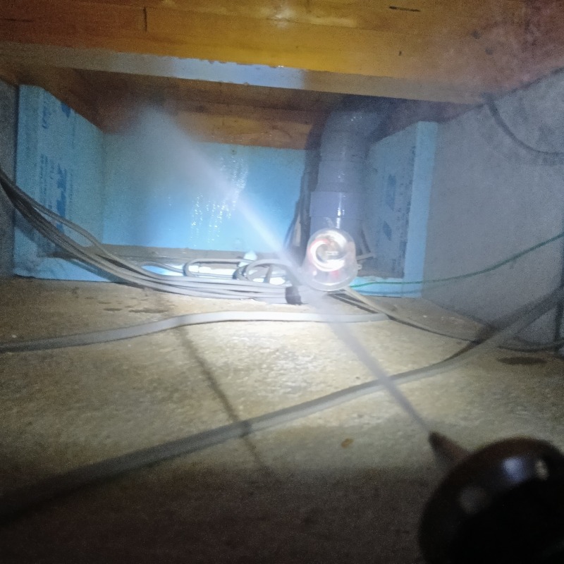 床下の木材にシロアリ駆除剤を散布