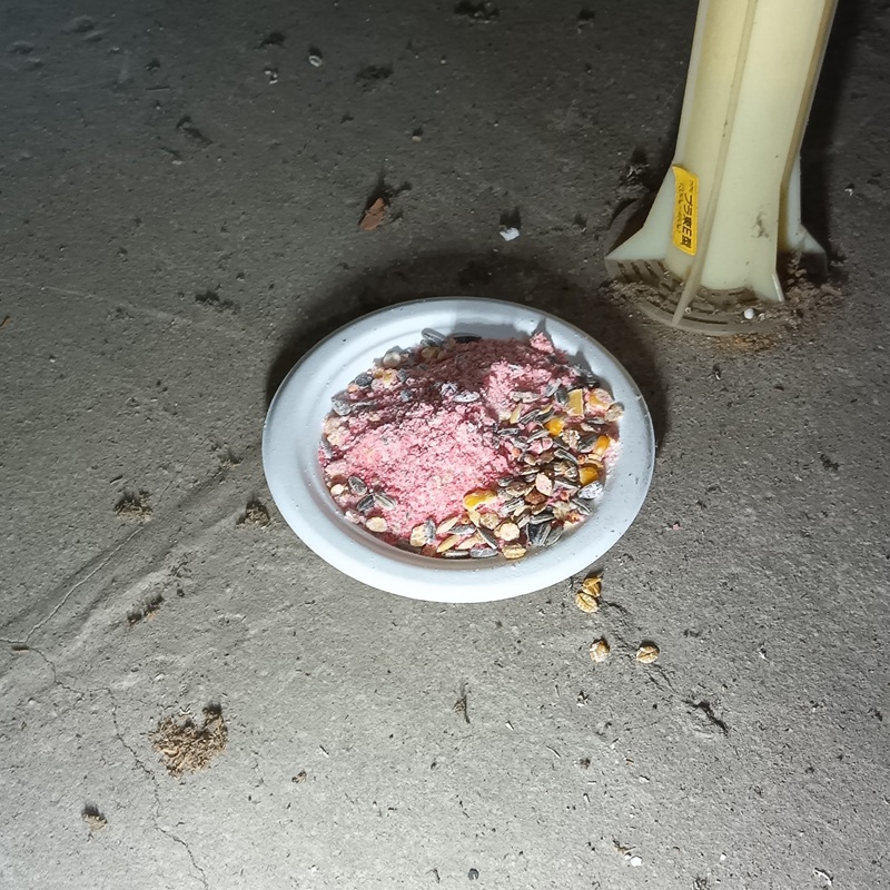 殺鼠剤設置の様子