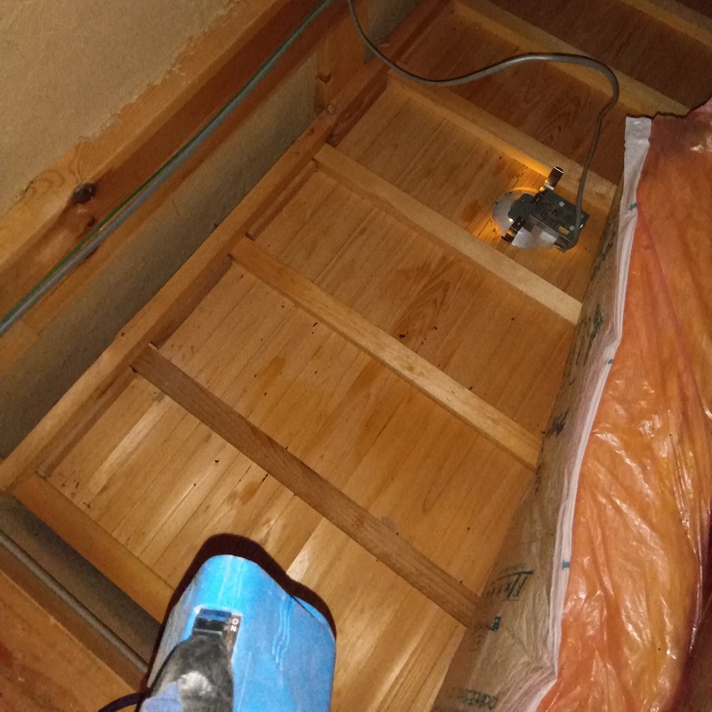 コウモリのねぐらになっていた天井裏を殺虫処理